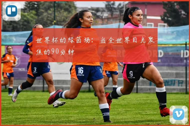 世界杯的绿茵场：当全世界目光聚焦的90分钟