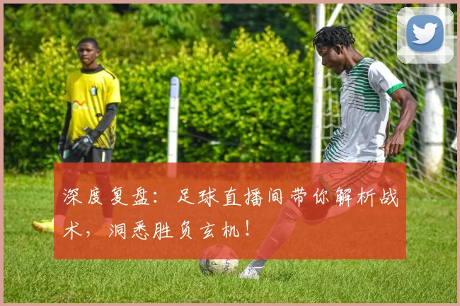 深度复盘：足球直播间带你解析战术，洞悉胜负玄机！